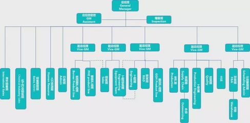 張應春談管理:工廠常見的5種組織結構分析,漲知識!